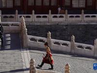 歲末故宮人氣旺
