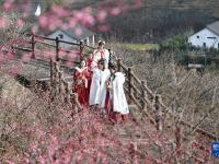 浙江湖州：梅花枝頭俏
