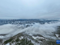 美麗中國丨重慶巫溪：雪漫群山

