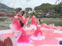 福州：千年古剎舉辦梅花文化節(jié)
