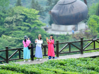 湖北恩施：“茶旅融合”客滿園
