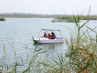 新疆：沙漠边“长出”湿地公园
