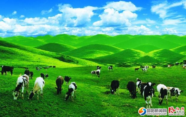 城步南山牧场(网络图)