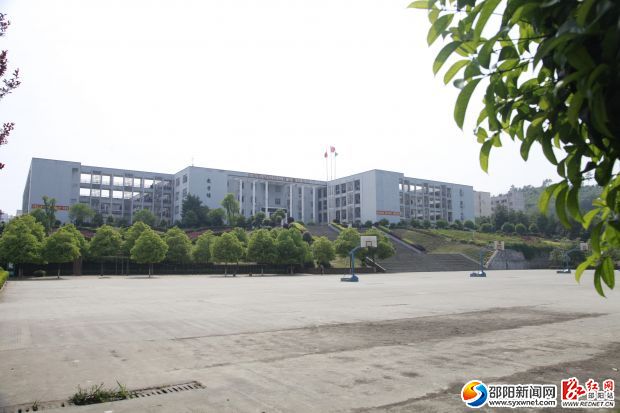 图片1
