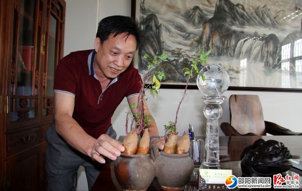 曾汉云在护理自己的珍贵的“纪念品”。