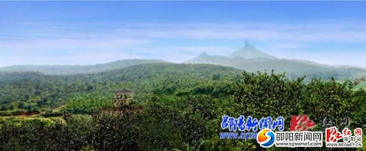 万亩油茶