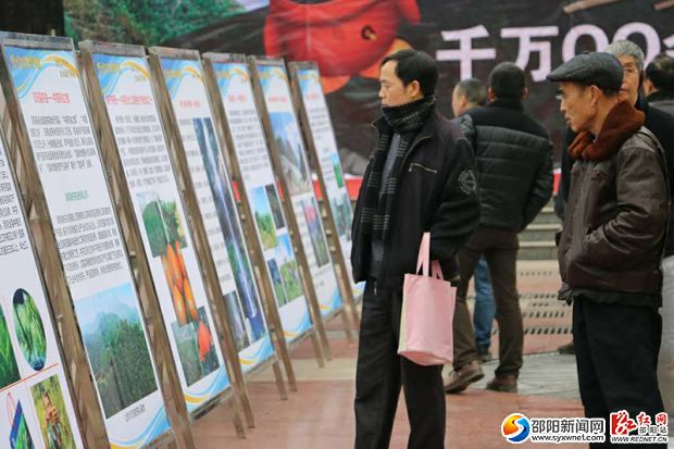 市民都在宣传墙前查看旅游咨询。副本