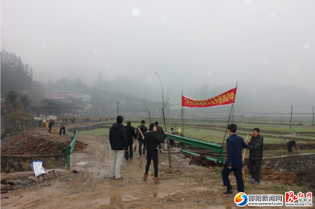 图为植树活动现场