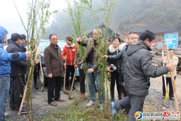 图为林管站技术人员在分配苗木