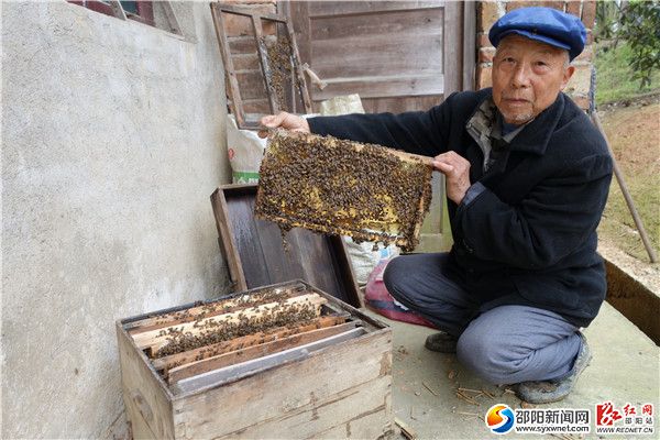 一、4月7日，隆回县雨山铺安仁村81岁的范介武大伯，在检查分蜂后的蜂群发展情形。 DSC00003