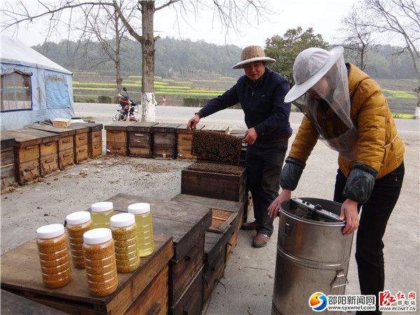 二、今年的油菜花大流蜜期，隆回县罗家养蜂场小主人罗柏林夫妇，在雨山铺雨山村流动蜂场，摇取蜂蜜。DSC06094