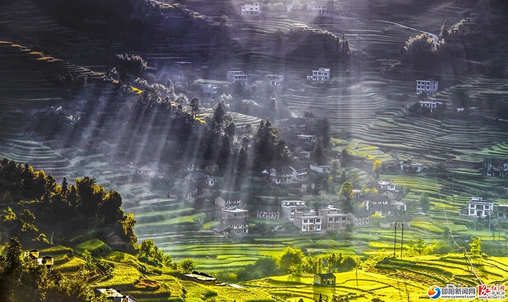 《万丈秋光耀金谷》 ,摄影:王松华,摄于新宁瞬皇山,工作单位:武冈市职业中专,联