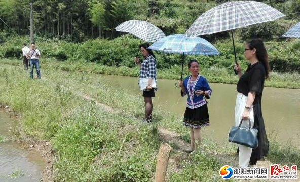 QQ截图20160602153343