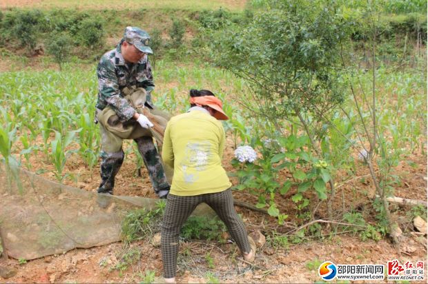 图为环境卫生集中整治活动现场