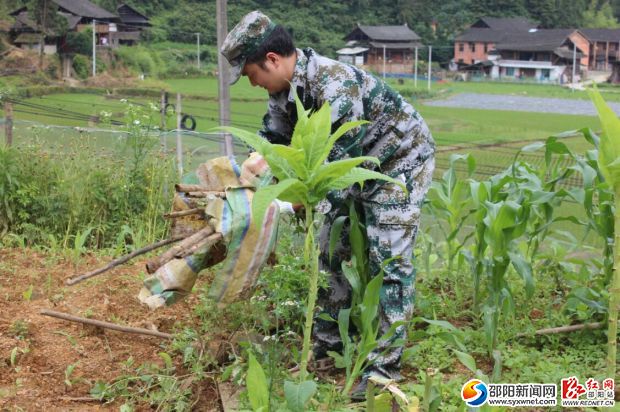 图为环境卫生集中整治活动现场
