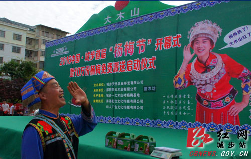 　大木山杨梅成为城步苗乡的&ldquo;名片&rdquo; (饶兴军摄)