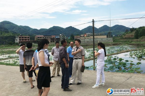 图为新邵县商务局副局长孙海际（中）视察老新村太空莲基地