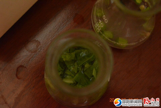 (把蔬菜撕成片状放入锥形瓶中)