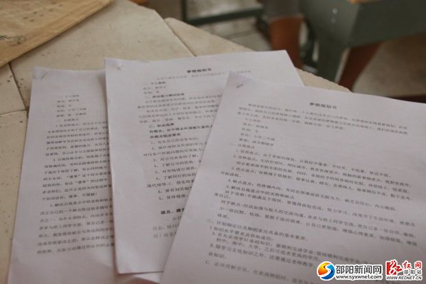(志愿者给孩子们制作的梦想规划书)