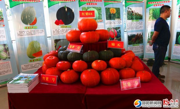 产品展示厅里摆满了各种各样的现代农产品。_副本