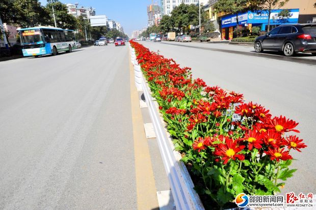 图为市区双拥路中间修建的绿化隔离带。记者 申兴刚 摄