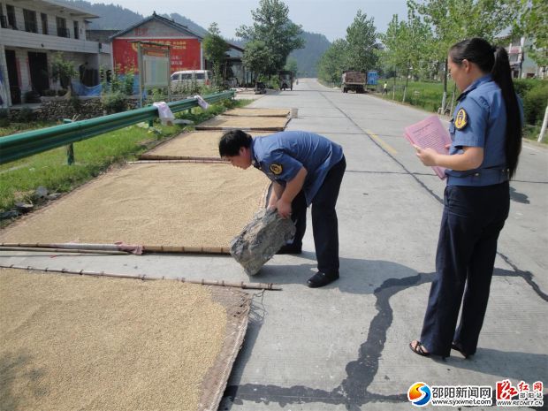 稿件用图