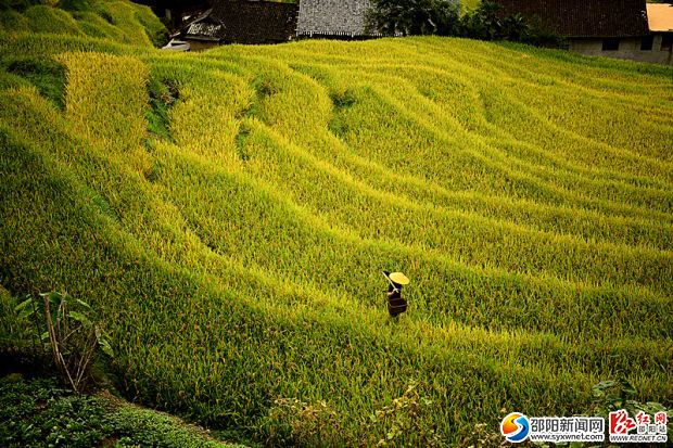 _DSC2843_看图王