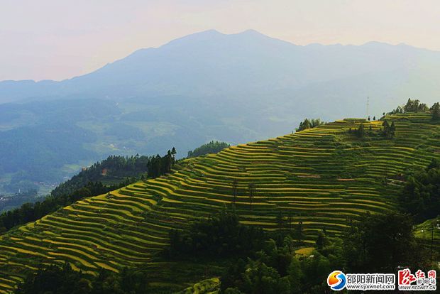 _DSC2535_看图王