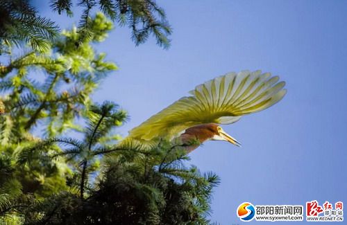 QQ图片20161007105824