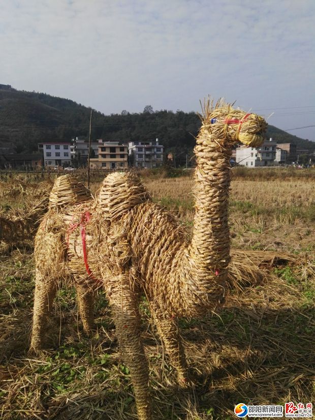 稻草动物造型 (2)
