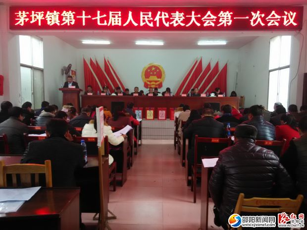 茅坪镇人大会现场