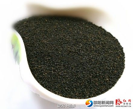 城步虫茶