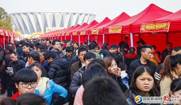招聘会现场慕名赶来的市民都在认真查看招聘记录，选择心仪的单位或企业去应聘。
