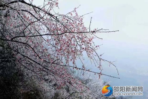 QQ图片20170224135853