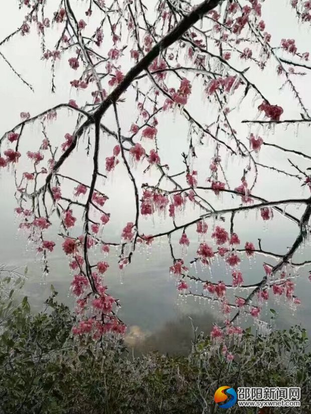 QQ图片20170224135859