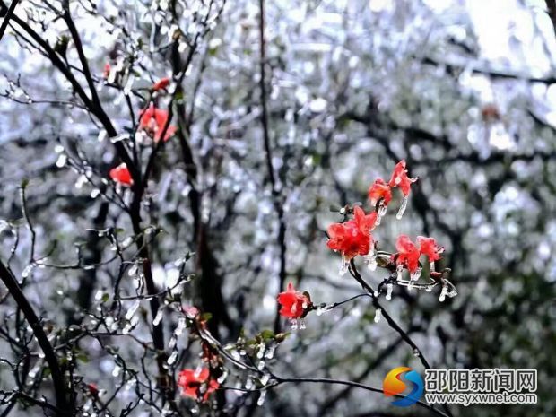 QQ图片20170224135904