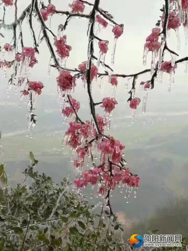 QQ图片20170224135914
