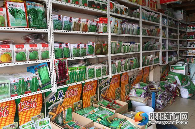 店内各种琳琅满目的农作物种子。