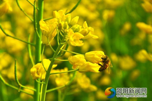DSC_0564_看图王