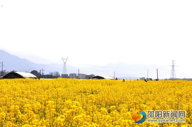 DSC_0577_看图王