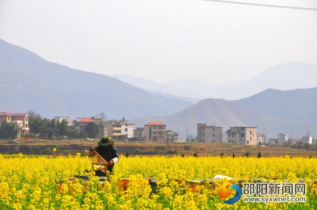 DSC_0597_看图王