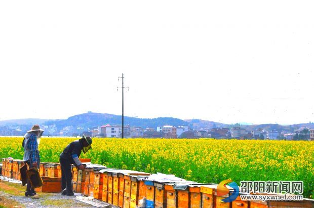 DSC_0624_看图王
