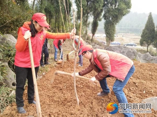 义务植树