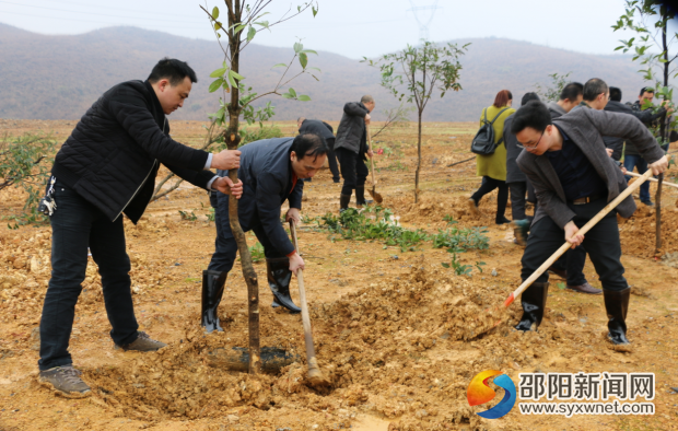 图为植树活动现场