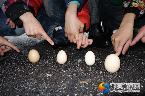 四、鸡蛋已竖起,轻轻推不倒哩。DSC02501