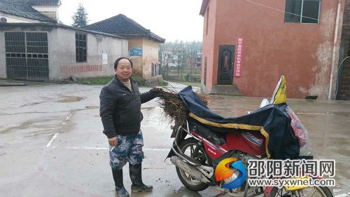 图为村民杨继元正在装运苗木