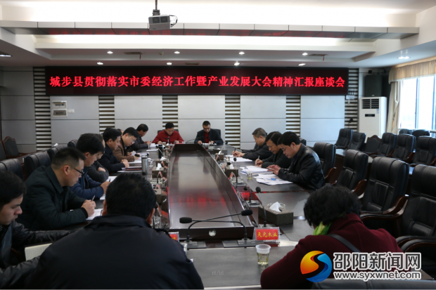 图为座谈会现场