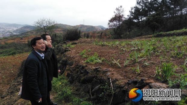 考察生产种植基地