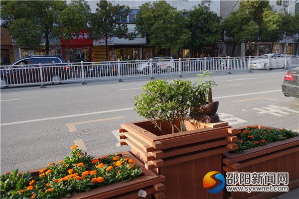 二、桃洪中路整齐划一DSC02510