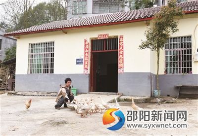 图为唐攀富正在新房前喂养鸡鸭。